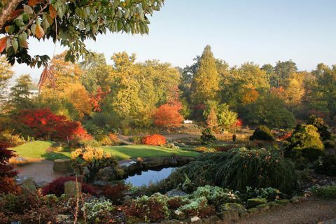 RHS Garden Wisley: גן הסלעים והגן הפראי בוויסלי בסתיו