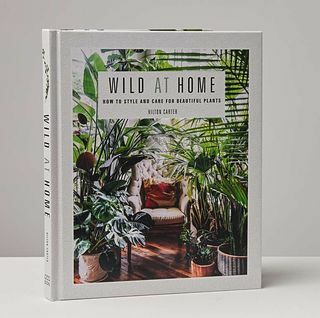 פרא בבית: סגנון וטיפול בספר צמחים יפים