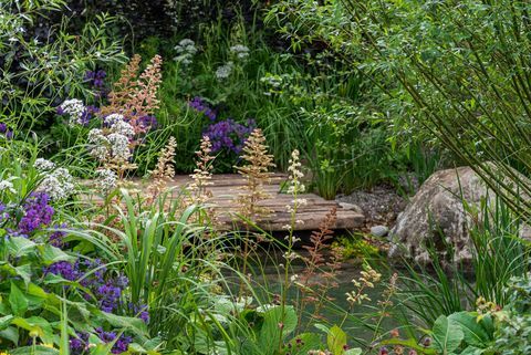 rhs garden for a green green בעיצובו של ג'יימי בוטוורת 'המפטון קורט פאלאס גן פסטיבל 2021