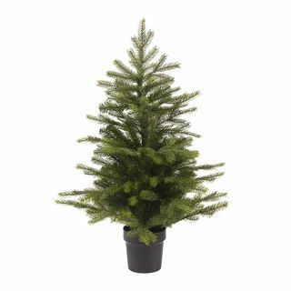 Grandis Indoor Mini Tree - 90 ס" מ - ירוק