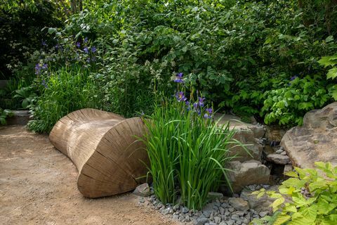 הגן המבטיח את המחר של place2be בעיצובו של Jamie Butterworth rhs chelsea flower show 2022