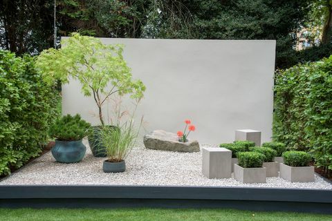 rhs chelsea flowers 2021 גני מיכל