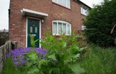 דרכים נוחות שהגינה שלך יכולה להוסיף 5,000 ליש"ט לערך הבית שלך