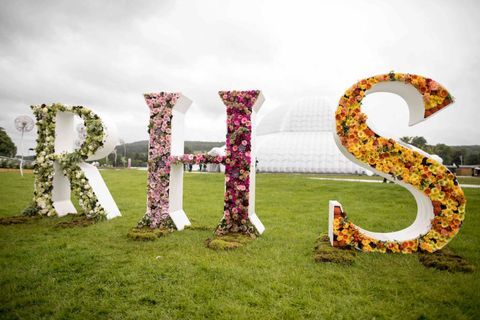 תערוכת הפרחים RHS Chatsworth 2017