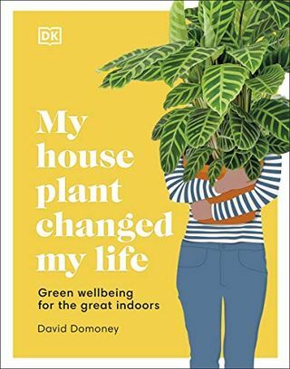 צמח הבית שלי שינה את חיי: רווחה ירוקה למען הסביבה הגדולה