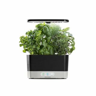 קציר AeroGarden