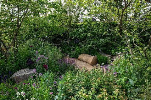 הגן המבטיח את המחר של place2be בעיצובו של Jamie Butterworth rhs chelsea flower show 2022