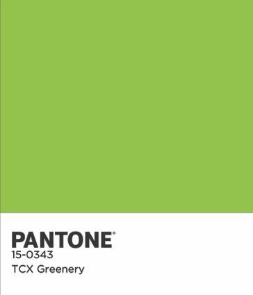 Pantone COTY 2017 שבב צבעוני