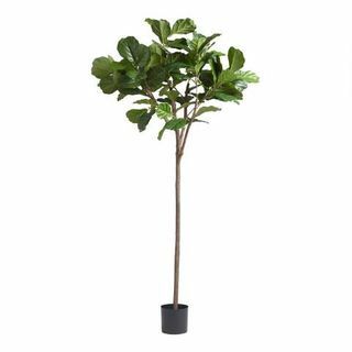 6 רגל Faux Fiddle Leaf Fig 