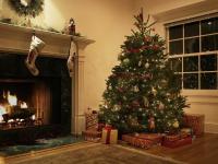 ריאל נגד. עצי חג המולד מזויפים: איזה מהם מתאים לבית שלך?